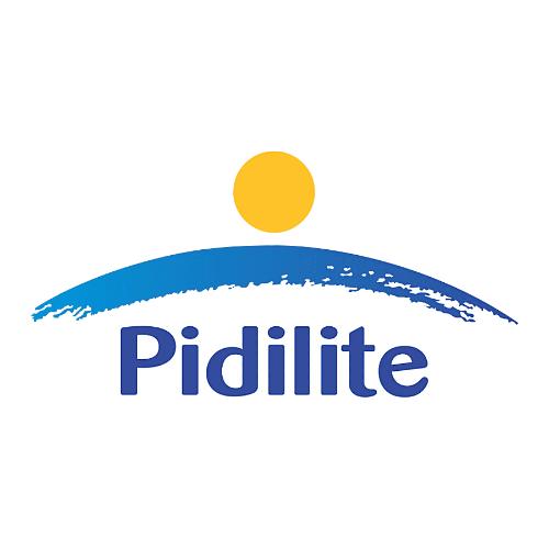 Fevicol Mr-Easy Flow 100 gms