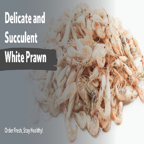 Fresh White Prawn Whole 50 Count Prepacked 1 kg