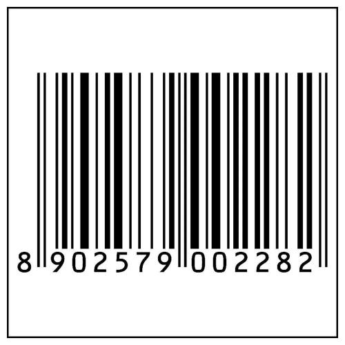 Frooti Mango Juice 10x125 ml