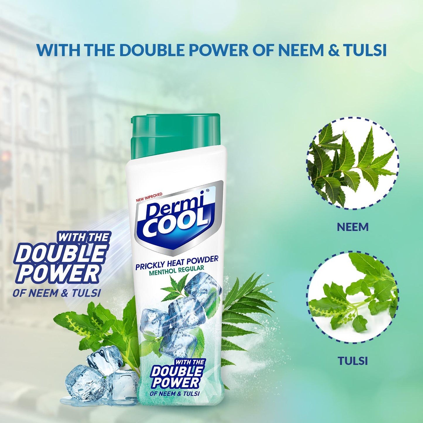 Dermicool Menthol Regular Prickly Heat Powder 150 g