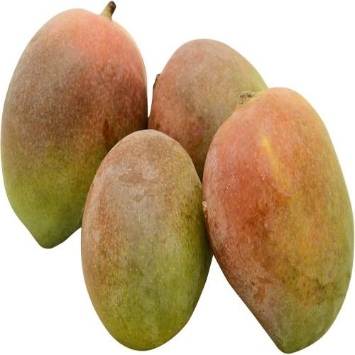Starfresh Mango Lalbaug ~ 1 kg