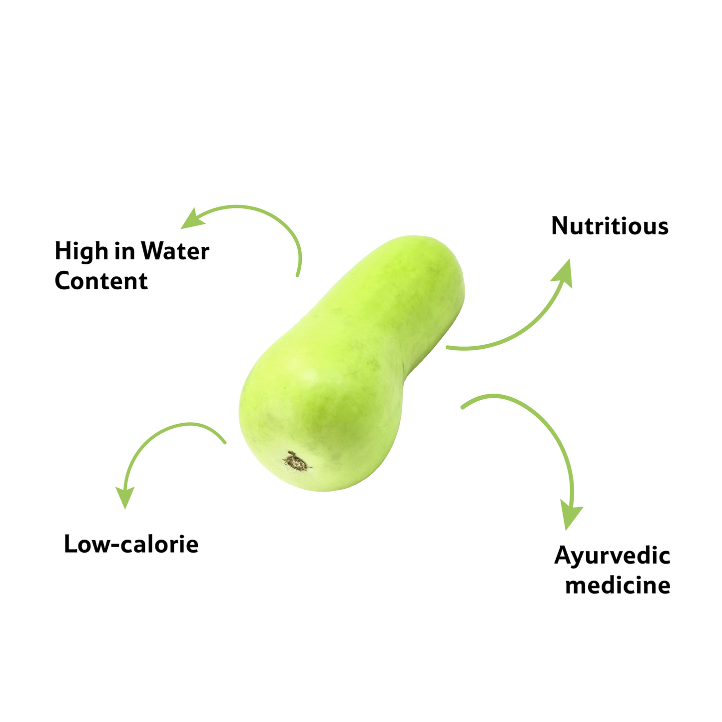 Starfresh Bottle Guard(Lauki) ~ 550 gm