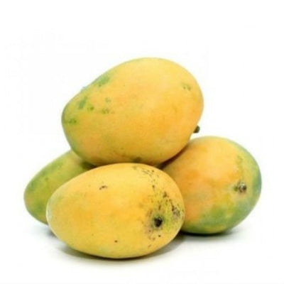 Starfresh Mango Benganpalli ~ 2 kg