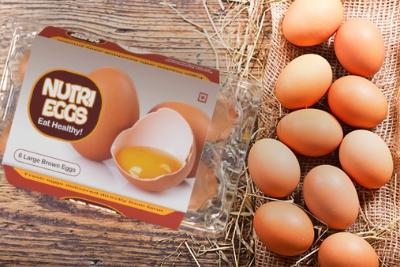 Nutri Hatch Brown Eggs pack of 12
