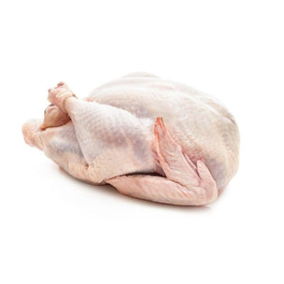 Turkey Raw Plain Between, 3 Kg-4 Kg