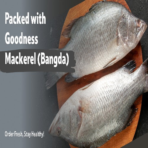 Starfresh Sea Water Mackeral (Bangda)Big Cleaned Gross 500Gm Net 420 Gm