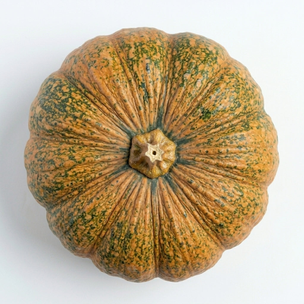 Pumpkin Red, 500 g