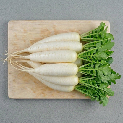 Radish White, 1 Pc