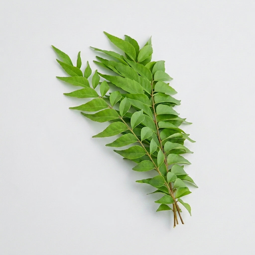 Starfresh Curry Leaves Bunch ~ 50 g – Starquik