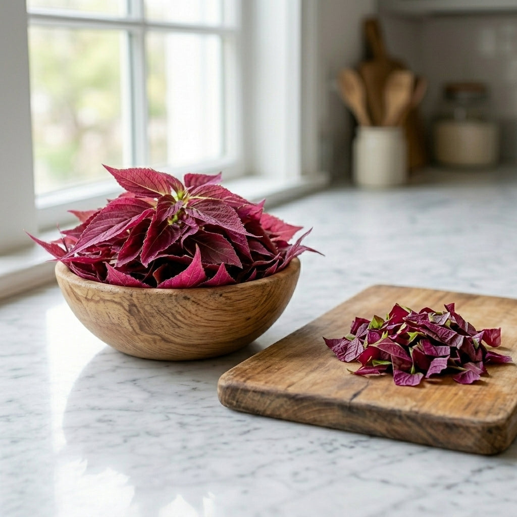Amaranthus Red Leaves Bunch Prepack Per Pc