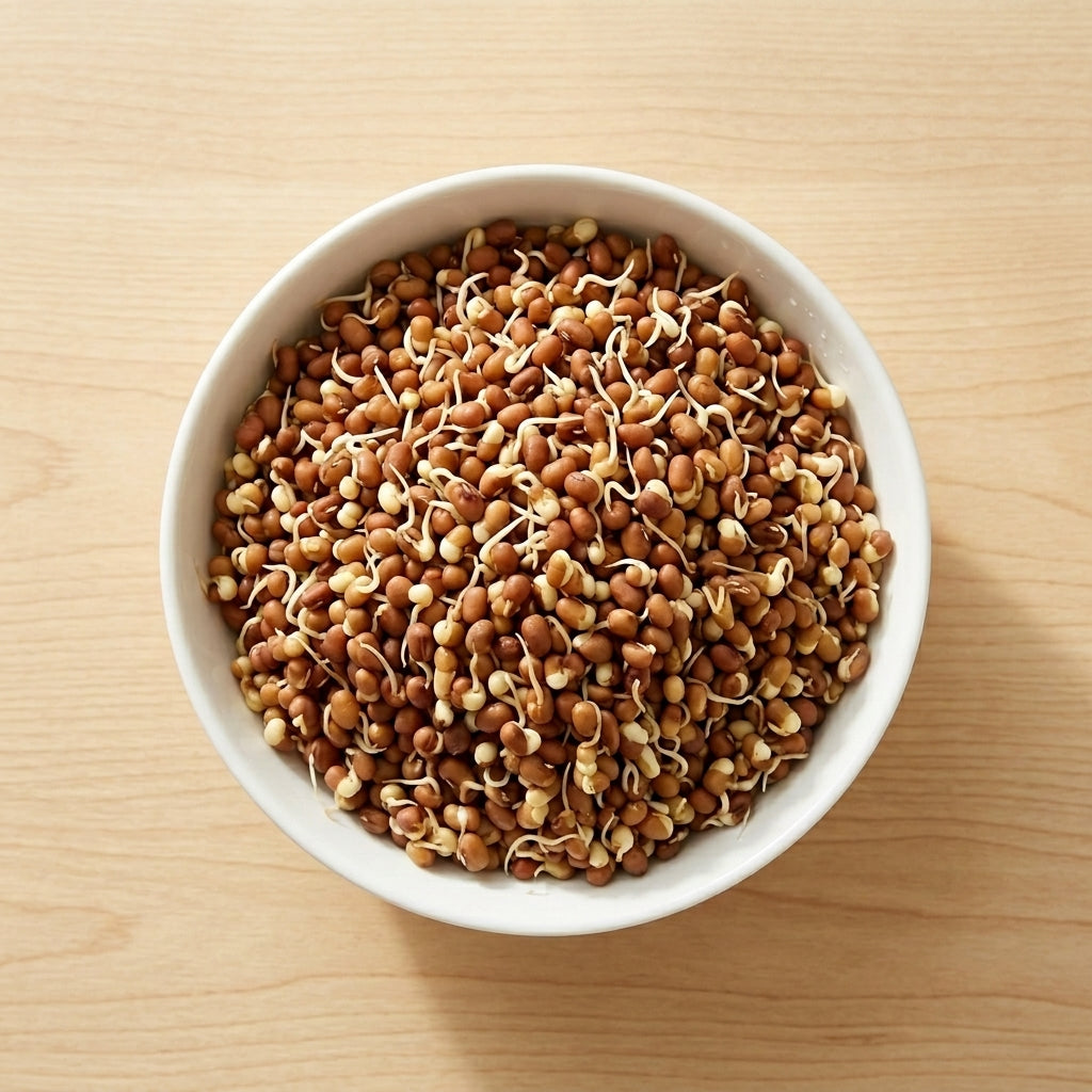Matki Sprout, 180 g