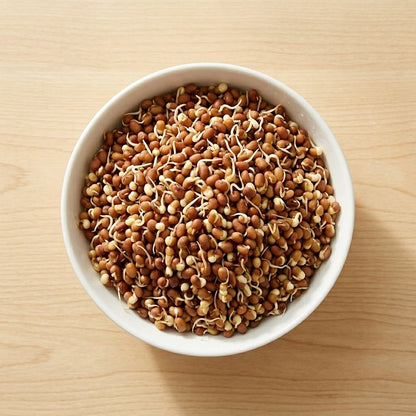 Matki Sprout, 180 g