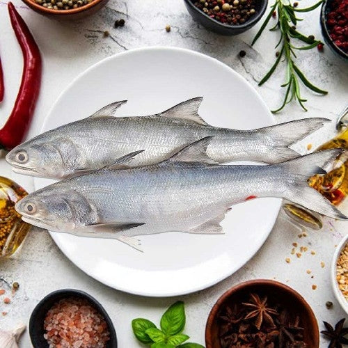 Sea Water Indian Salmon Ravas Small Round, Cut 800 g