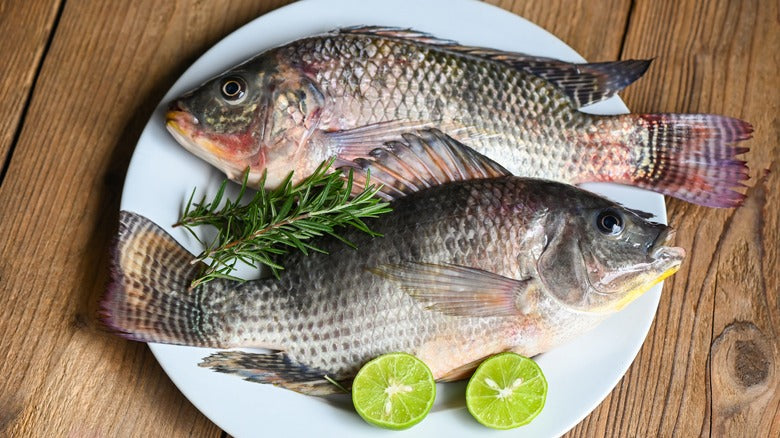 Fresh Water Tilapia Round Cut, Gross 500 g, Fillet 375 g