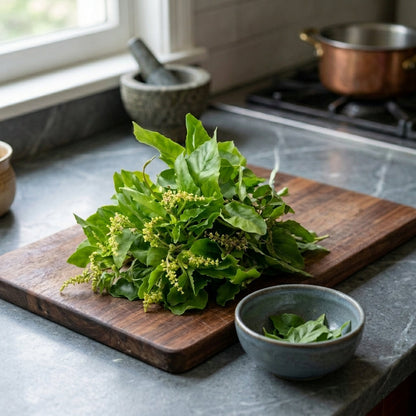 Basil, 20 g