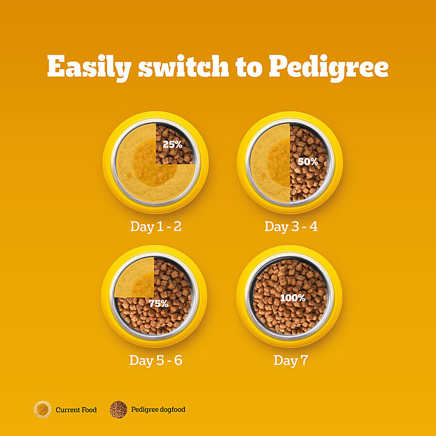 Pedigree Adult Meat & Rice 3 kg