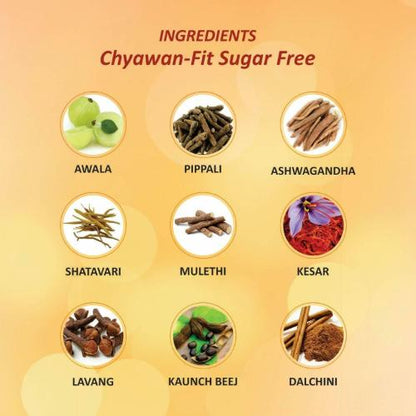 Baidyanath Chyawanprash Sugarfree 1Kg
