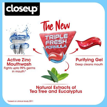 Close Up Everfresh+ Anti-Germ Gel Toothpaste Red Hot 80 g