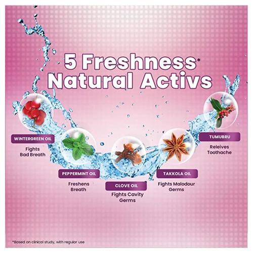 Dabur Red Toothpaste 300 gm