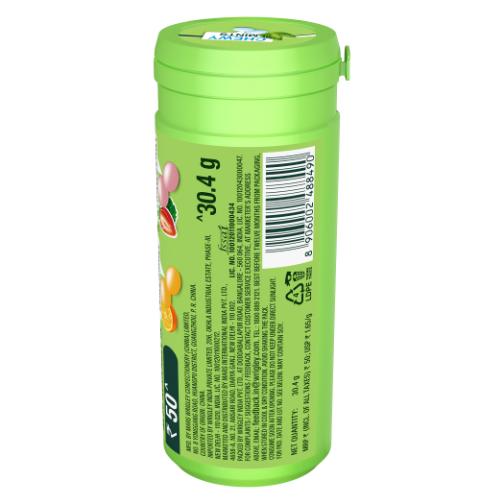 Doublemint Chewy Mint Peppermint 27 gm