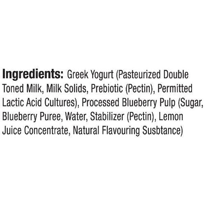 Epigamia Blueberry 85 gm