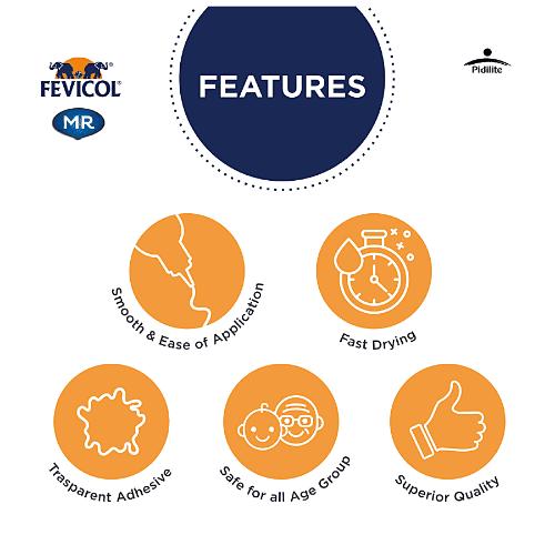 Fevicol Mr-Easy Flow 100 gs