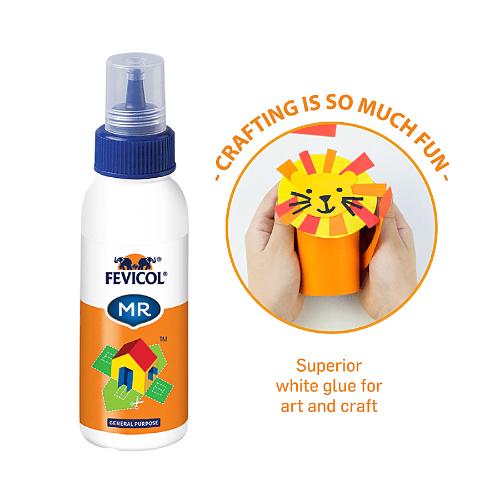 Fevicol Mr-Easy Flow 100 gs