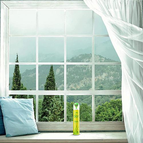 Godrej Aer Fresh Lush Green Spray 300 ml