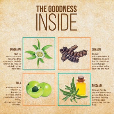 Indulekha Bringha Hair Cleanser Xl Bottle 580 ml