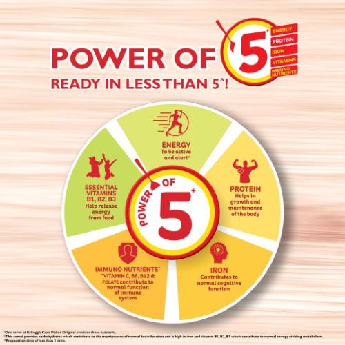 Kellogg'S Corn Flakes 251 Gm