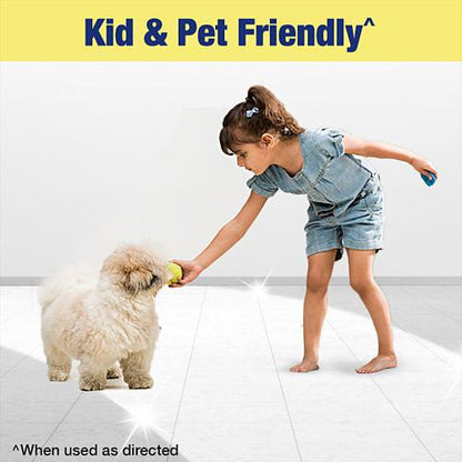 Lizol Citrus Floor Cleaner 500 ml