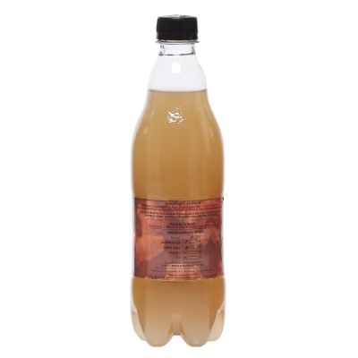 Natureday Sparkling Ginger 600 ml