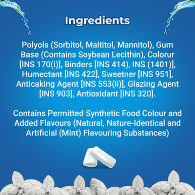 Orbit Sweet Mint 19.8 gm