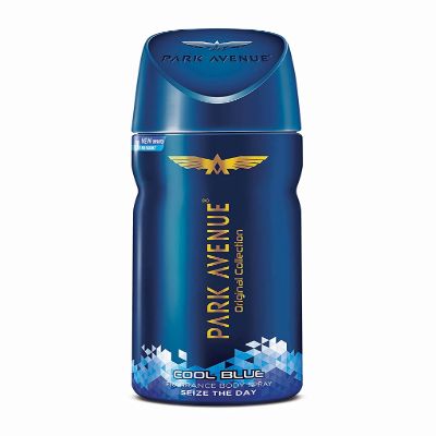 Park Avenue Cool Blue Gas Deo Men 100 g
