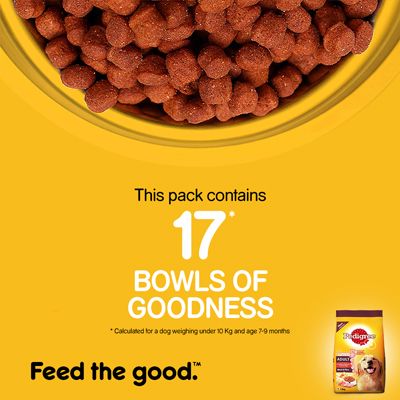 Pedigree Adult Meat & Rice 1.2 kg