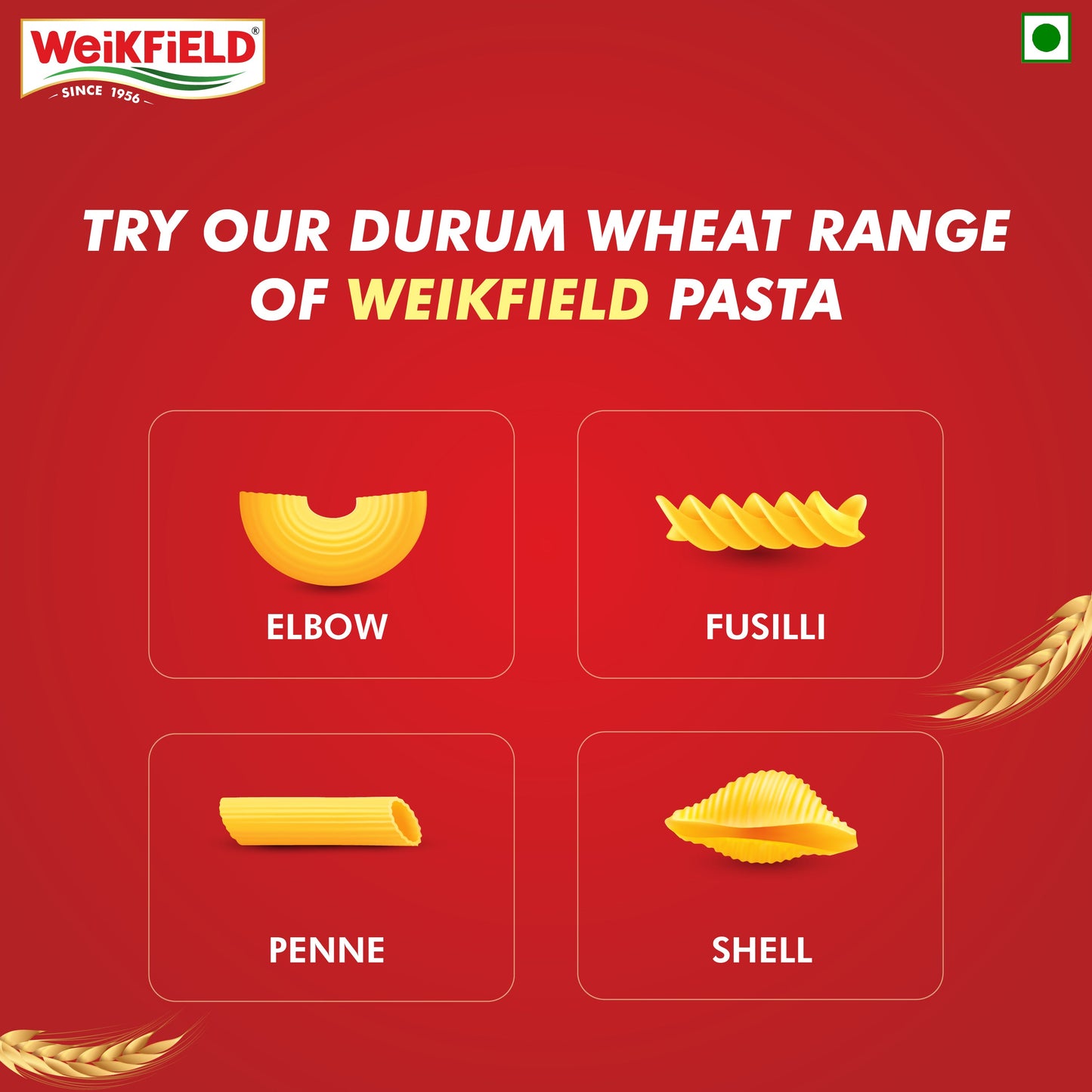 Weikfield Spaghetti Pasta 500 g