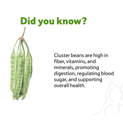 Starfresh Beans Cluster Prepack ~ 500 g