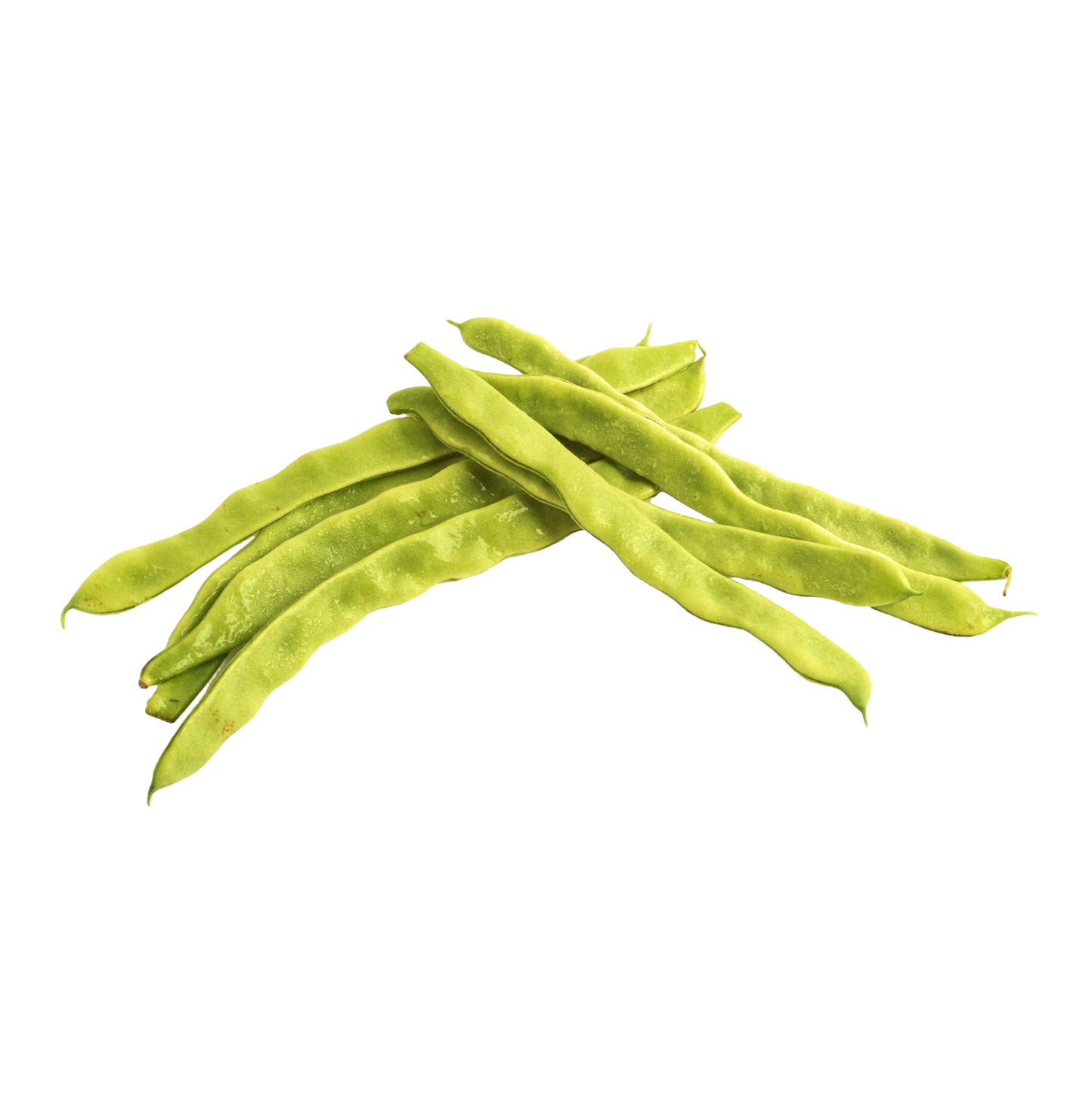 Starfresh Beans Cluster Prepack ~ 500 g