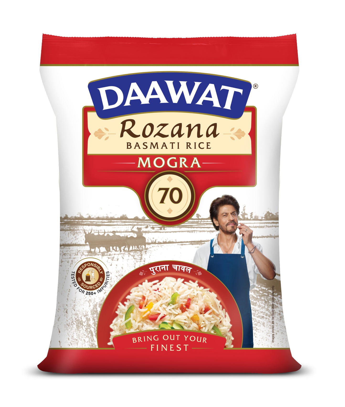 Daawat Rozana Mogra Basmati Rice 10 kg