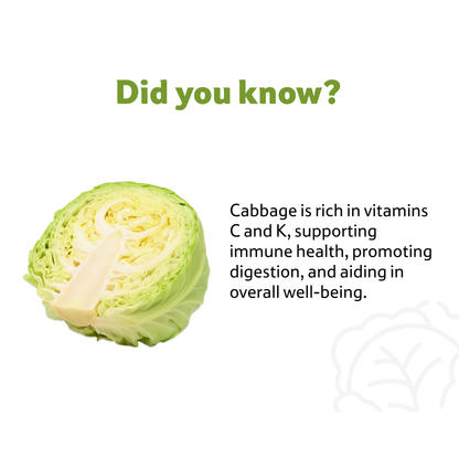 Starfresh Cabbage 1 Pc ~ 500-700 g