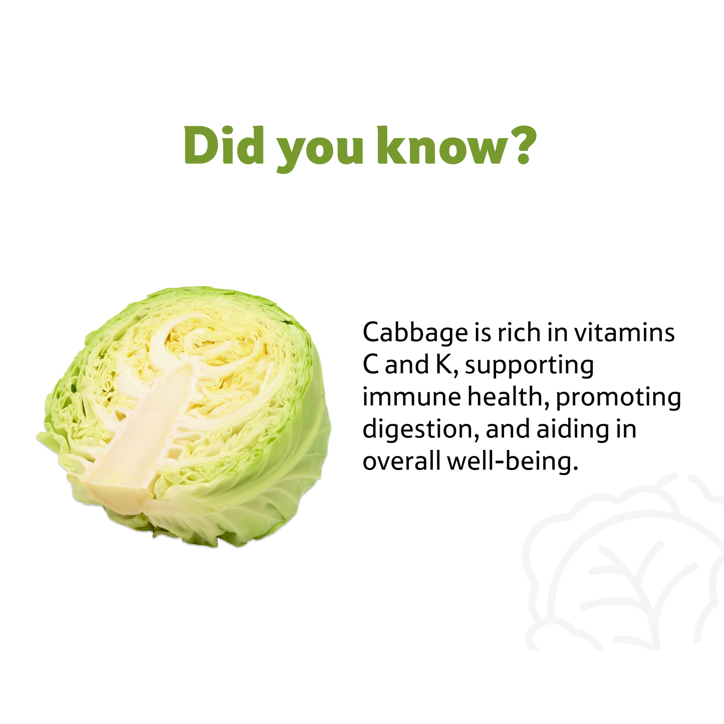 Cabbage, 1 Pc,~ 500–700 g