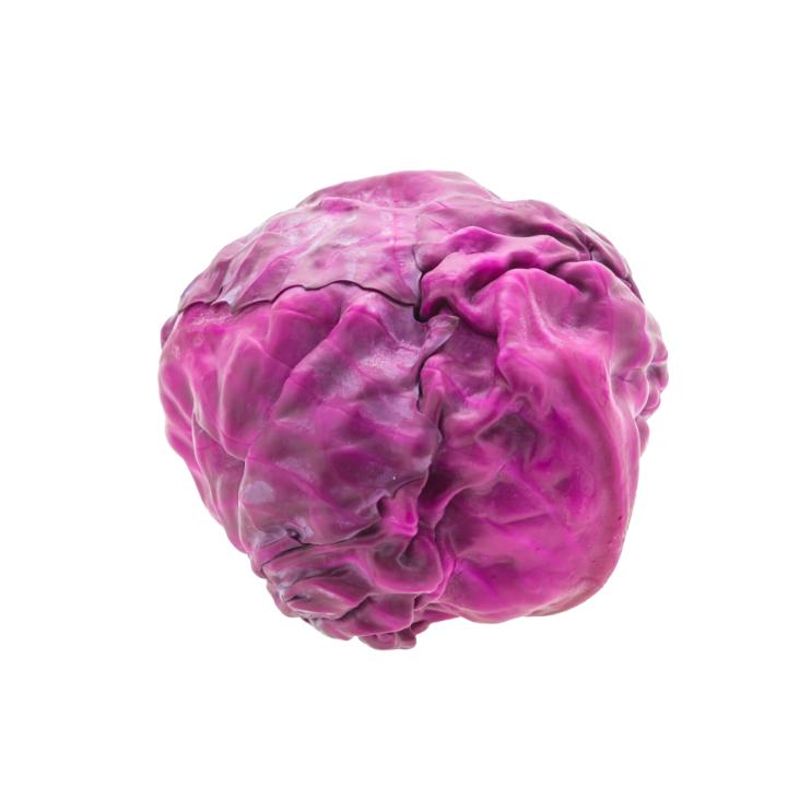 Cabbage Red, 880 g