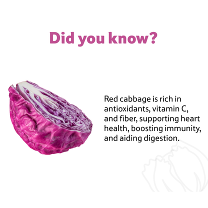 Cabbage Red, 880 g
