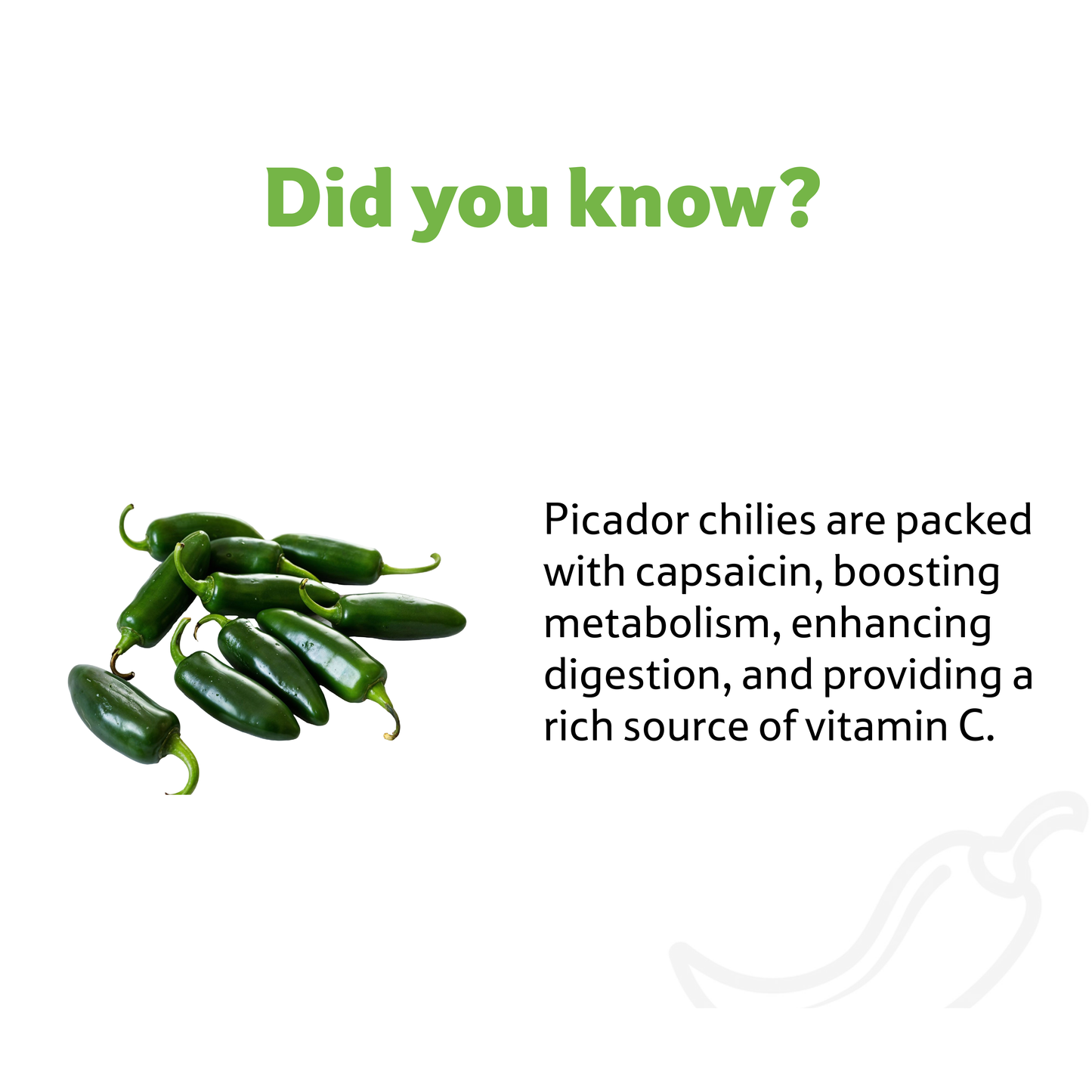 Starfresh Chilli Picador ~ 250 g