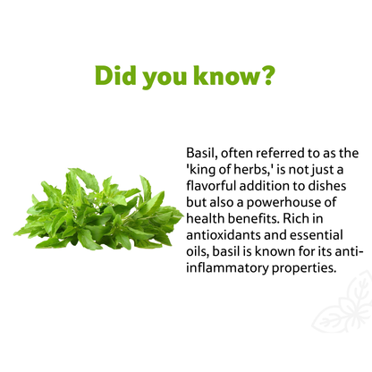 Starfresh Basil ~ 20 gm