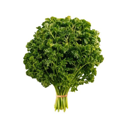 Parsley Curled, 1 Bunch