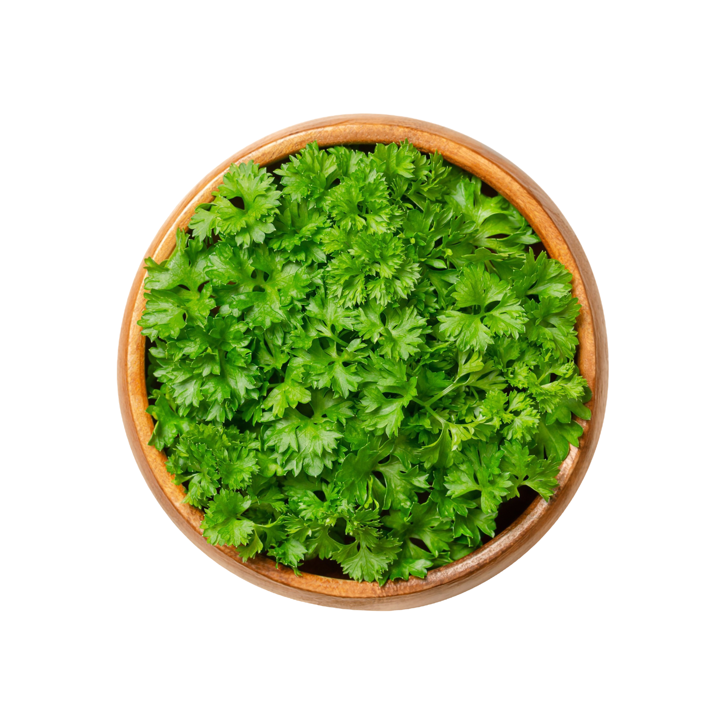 Parsley Curled, 1 Bunch