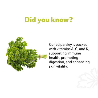 Parsley Curled, 1 Bunch