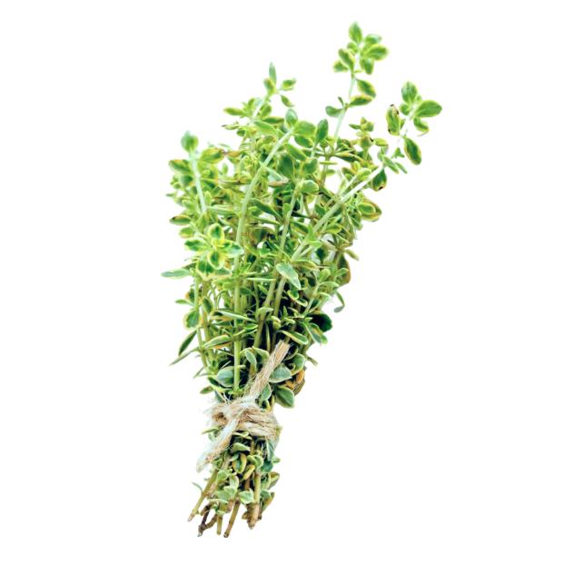 Thyme, 20 g