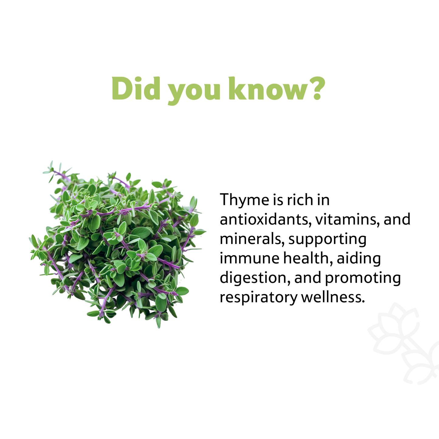 Thyme, 20 g